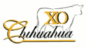 logo de Xo de Chihuahua