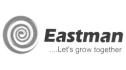 logo de Eastman Ind. Ltd.