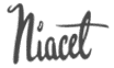 logo de niacet corporation