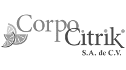 logo de corpo citrik