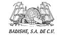 logo de badishe