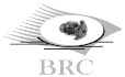 logo de bombas y reductores cuitlahuac