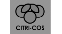 logo de Citri Son