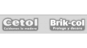 logo Akzo Nobel Coatings