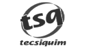 logo de Tecsiquim