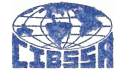 logo de Corporación Internacional de Bienes y Servicios