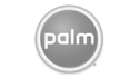 logo de Palm Mexico
