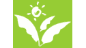logo Great Vision International Inc.