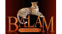 logo de Balam Arte en Madera