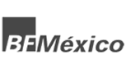 logo de British Federal Mexico