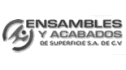 logo de ensambles y acabados de superficie