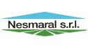 logo Nesmaral