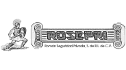 logo de roman seguridad privada