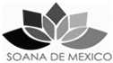 logo de grupo soana de mexico