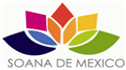 logo Grupo Soana de México