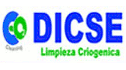 logo DICSE Limpieza Criogénica