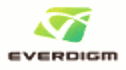 logo de Everdigm México