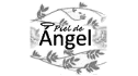 logo de Piel de Angel