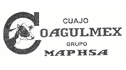 logo de Grupo Maphsa