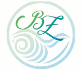 logo Brizua