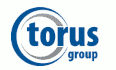 logo Torus Technology Group