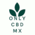 logo de Only CBD México